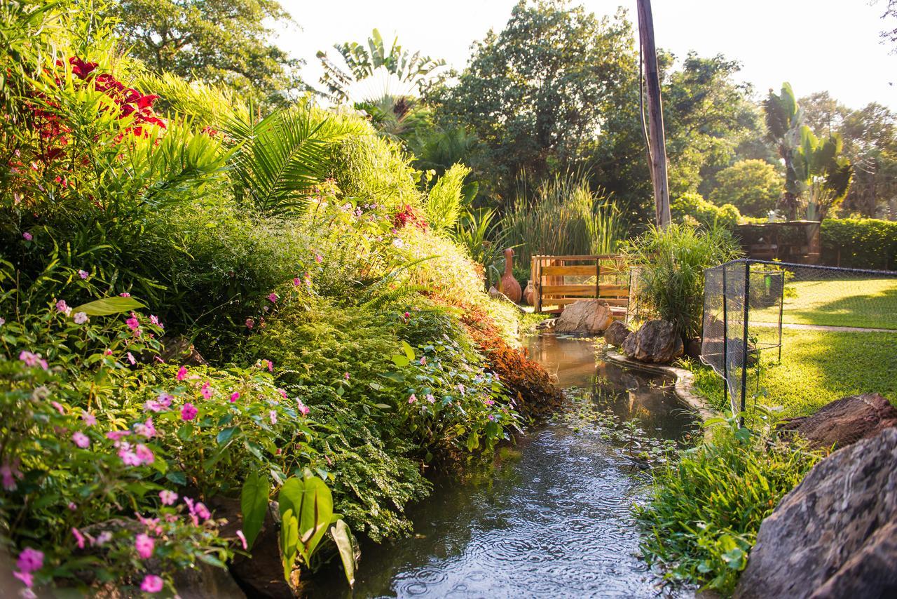 Chisamba Fringilla Lodge מראה חיצוני תמונה