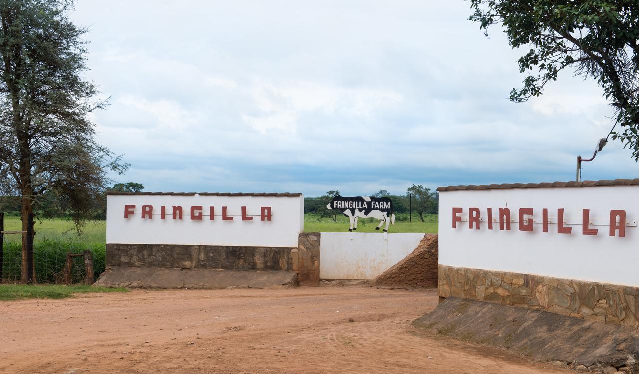 Chisamba Fringilla Lodge מראה חיצוני תמונה