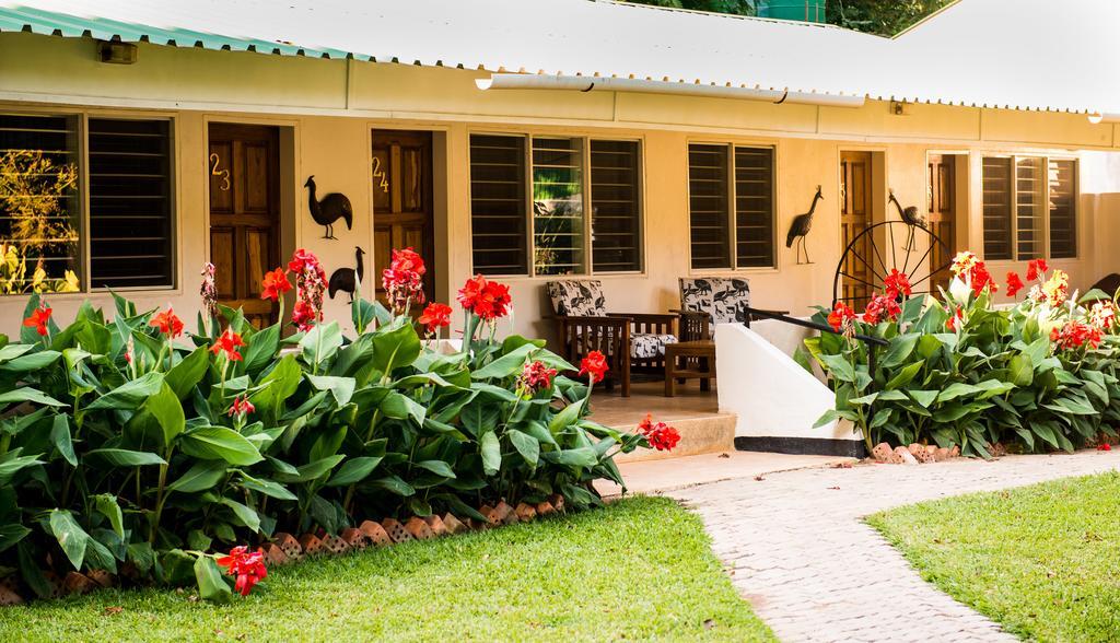 Chisamba Fringilla Lodge מראה חיצוני תמונה