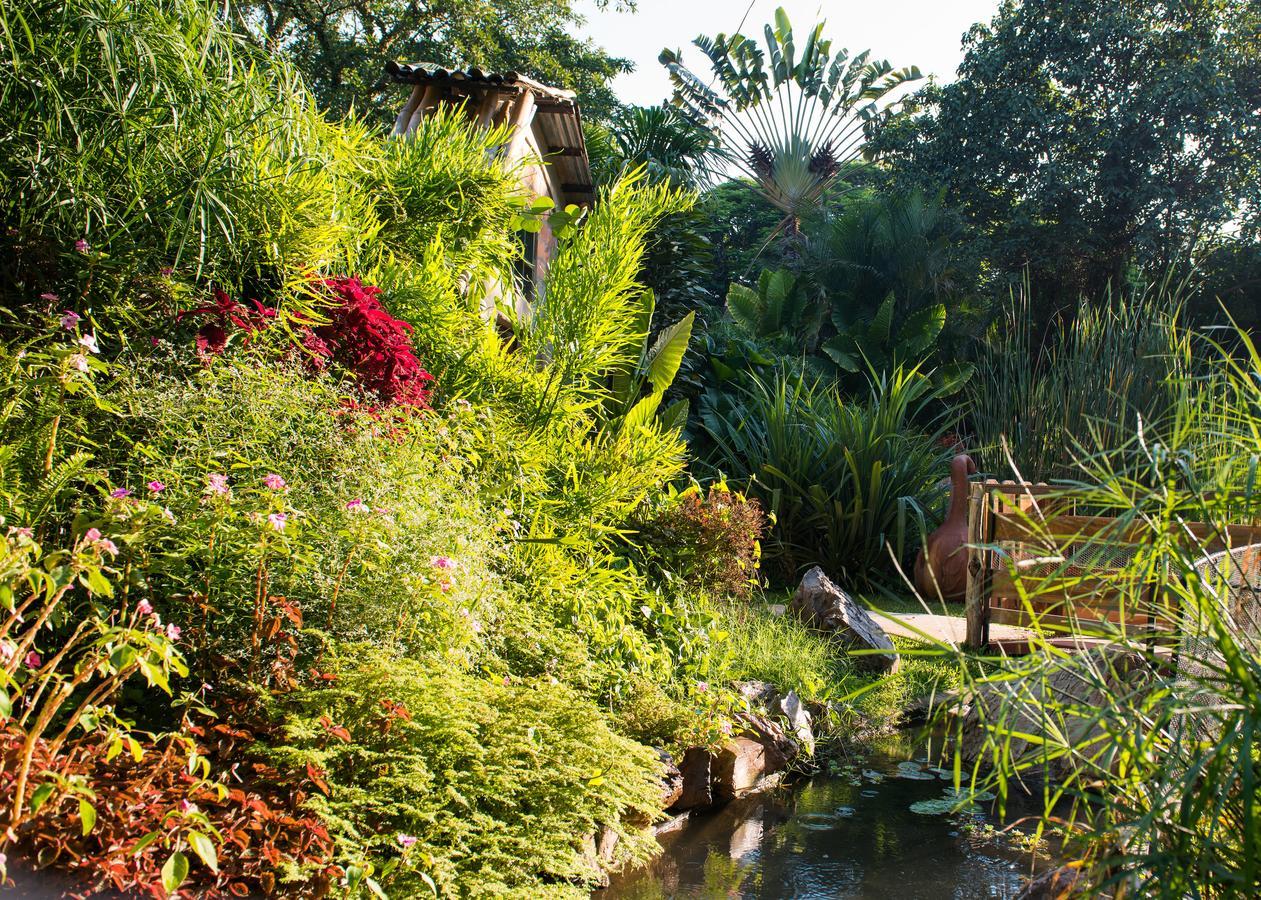 Chisamba Fringilla Lodge מראה חיצוני תמונה