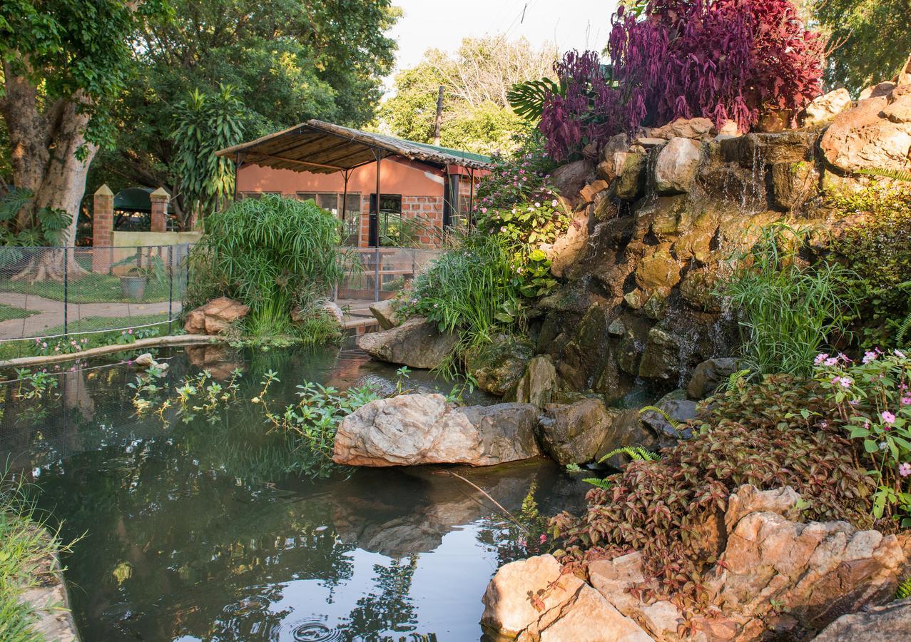 Chisamba Fringilla Lodge מראה חיצוני תמונה