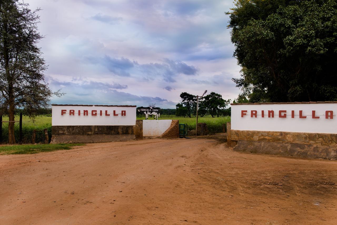Chisamba Fringilla Lodge מראה חיצוני תמונה