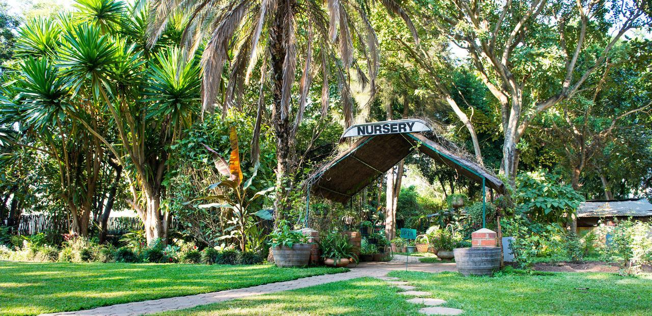 Chisamba Fringilla Lodge מראה חיצוני תמונה