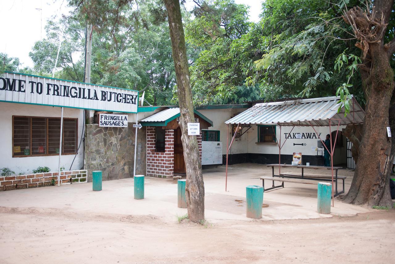 Chisamba Fringilla Lodge מראה חיצוני תמונה